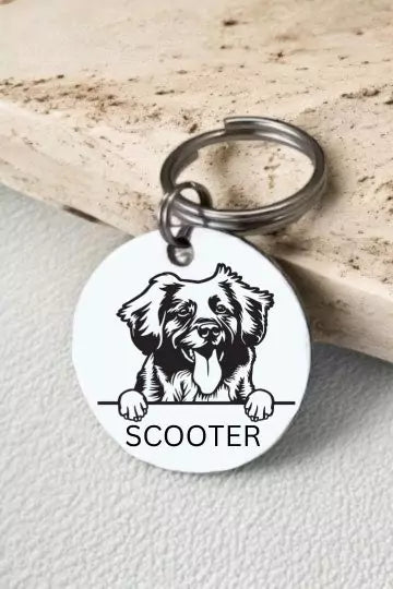 Personalized Dog Name Tag for Retrievers Nova Scotia Duck Tolling