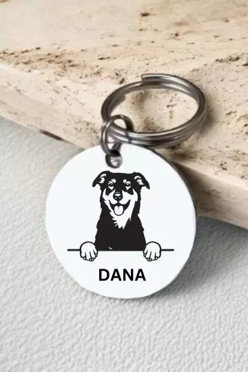 Beaucerons Dog Tag Collar Personalized