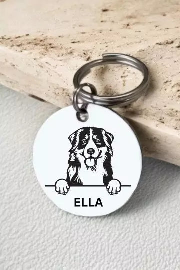 Bernese Mountain dogs Dog Tag Collar Personalized