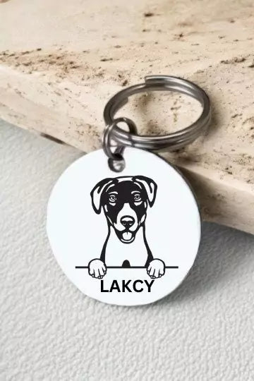 Blue lacy Dog Tag Collar Personalized