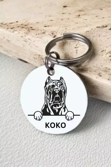 Cane Corso Dog Tag Collar Personalized