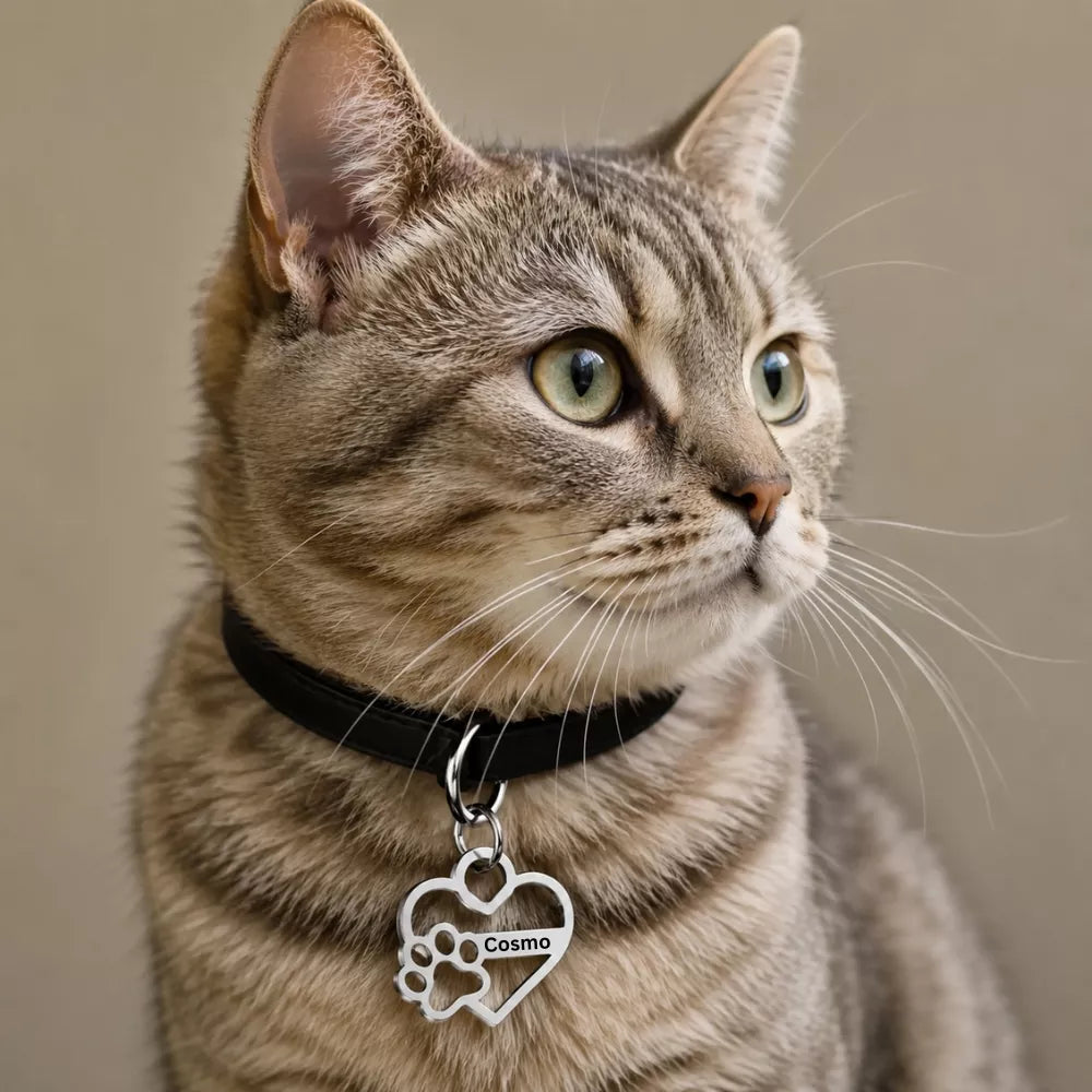 Personalized PurrSafe Collar Tag