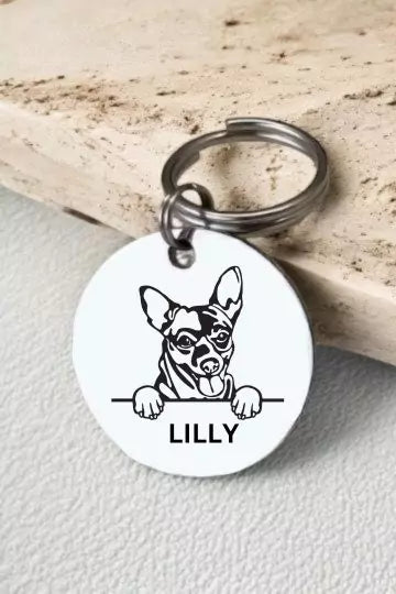 Cihuahua Dog Collar Personalized