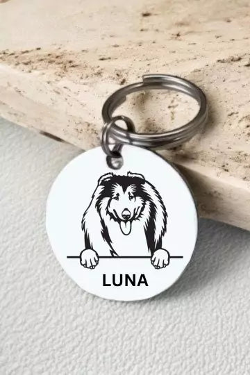 Collies Dog Collar Personalized