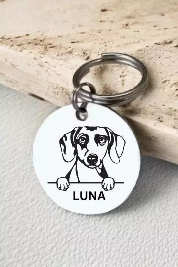 Daschounds Dog Collar Personalized
