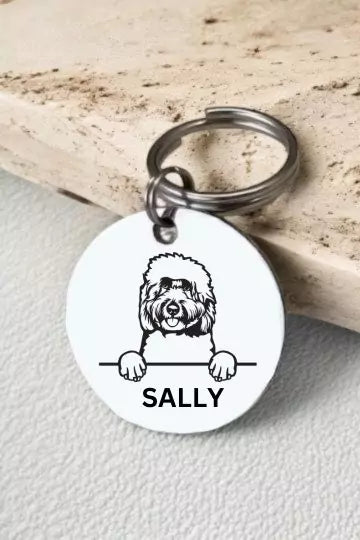 Goldendoodle Dog Collar Personalized