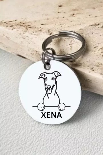 Greyhounds Dog Collar Personalized