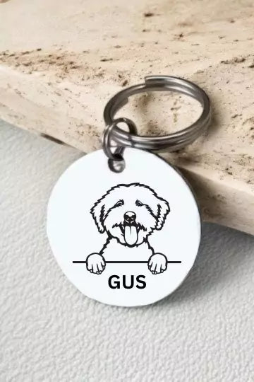 Lagotti Romagnoli Dog Collar Personalized