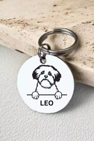 Lowchen Dog Collar Personalized
