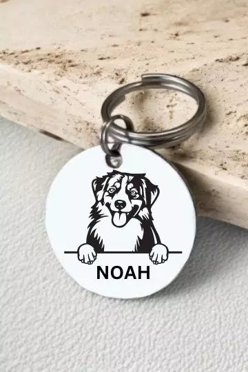 Miniature American Shepherds Dog Collar Personalized