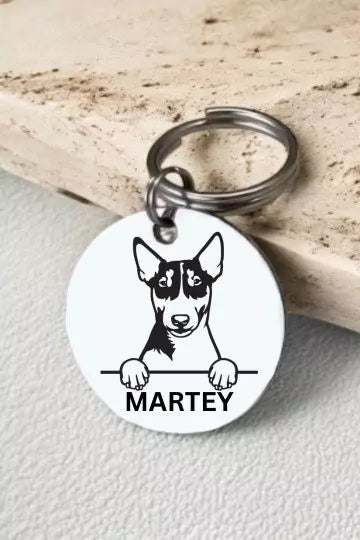 Miniature Bull Terriers Dog Collar Personalized