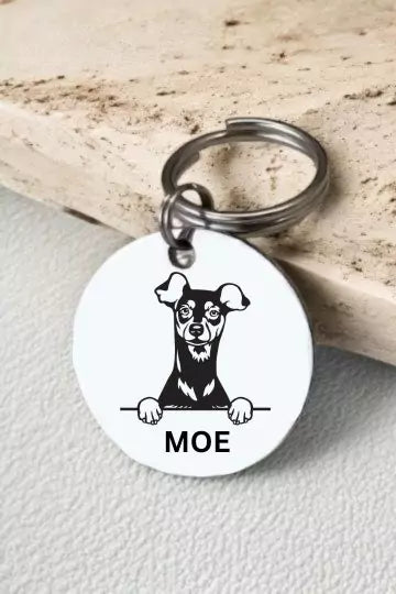 Miniature Pinschers Dog Collar Personalized
