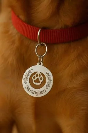 Paw Print Perfection Dog Collar Tag